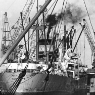 Delfzijl haven 1975 09 Delfzijl haven 1975 09